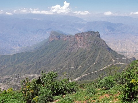 Sierra Gorda, el gran ‘pulmón’ de América