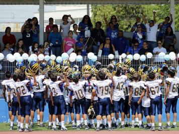 Serie para los Gatos Salvajes UAQ