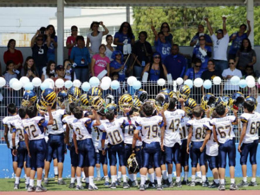 Serie para los Gatos Salvajes UAQ