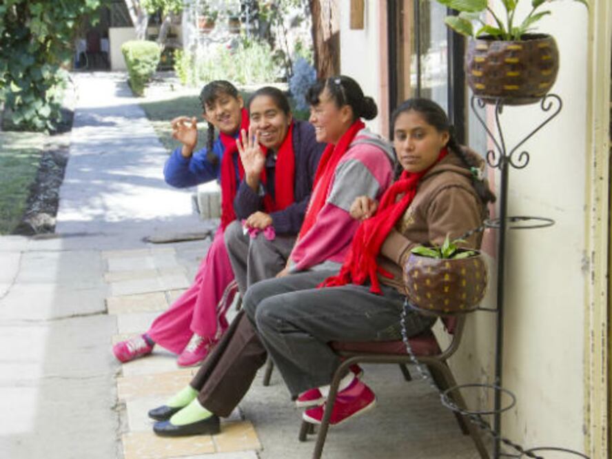 Anuncian colecta en favor de IAP´s 