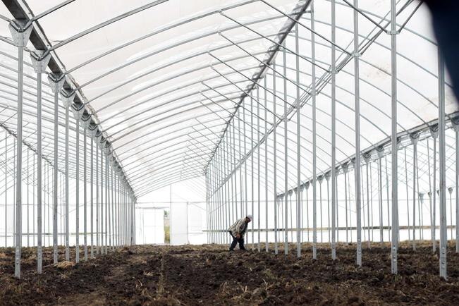 Con el nuevo invernadero, los Chávez podrán brindar trabajo a cerca de 30 personas, provenientes de la comunidad de El Organal (ALMA CÓRDOVA)