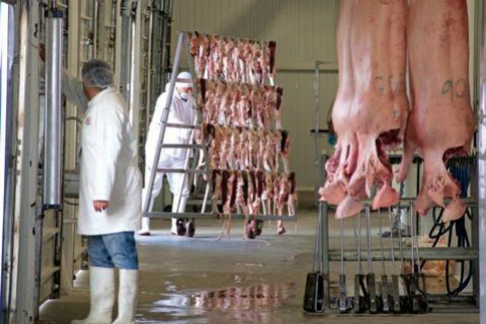 Medidas por enfermedad porcina