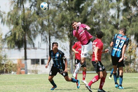‘Gallitos’ ponen la cabeza en la cancha