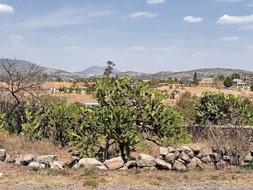 Pedro Escobedo, entre los municipios más secos