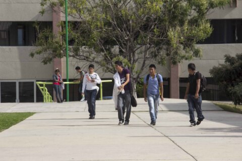 Alistan complejos en la UTSJR