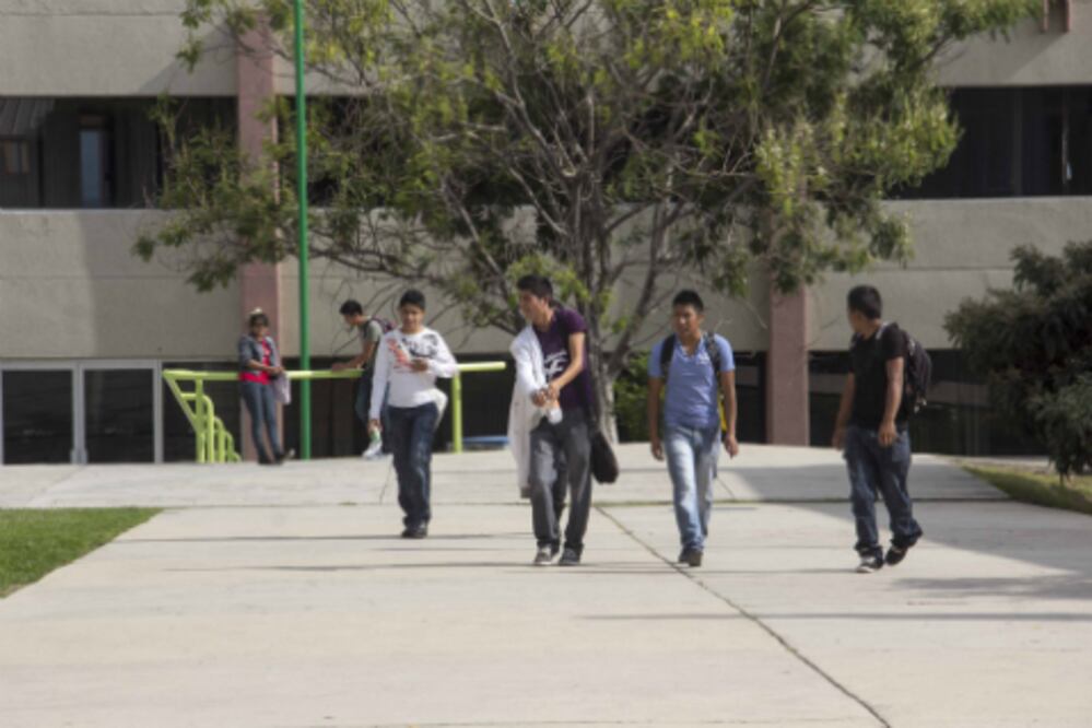 Alistan complejos en la UTSJR