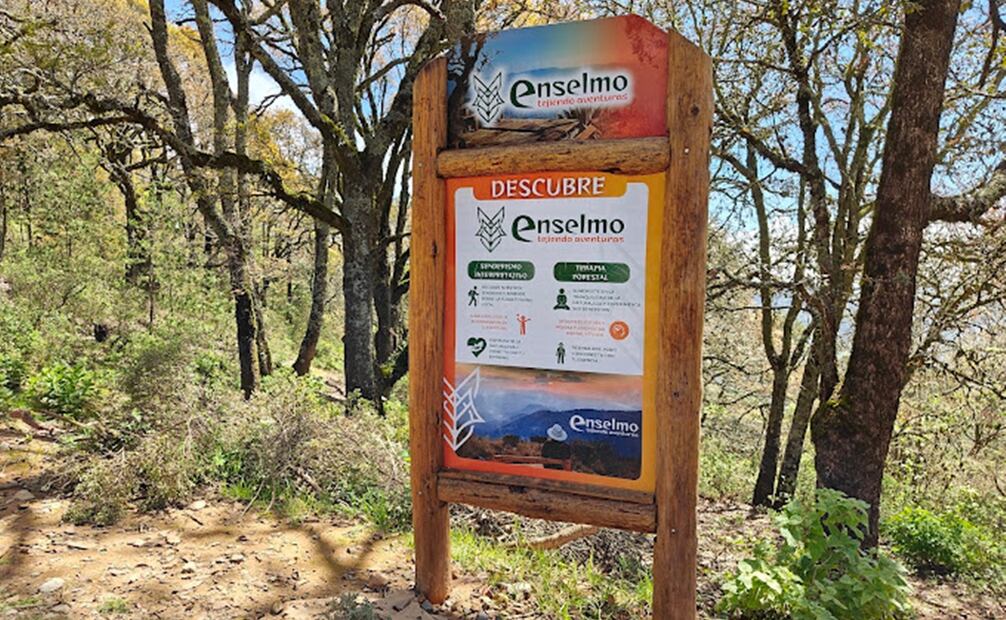 El Sendero Enselmo es  ideal para una escapada con amigos, en el viaje podrás encontrar información ecoturística muy interesante.Foto: Efrain Santiago Hernandez