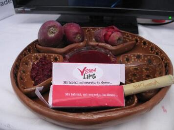 Crean alumnos labial con tuna y pitahaya