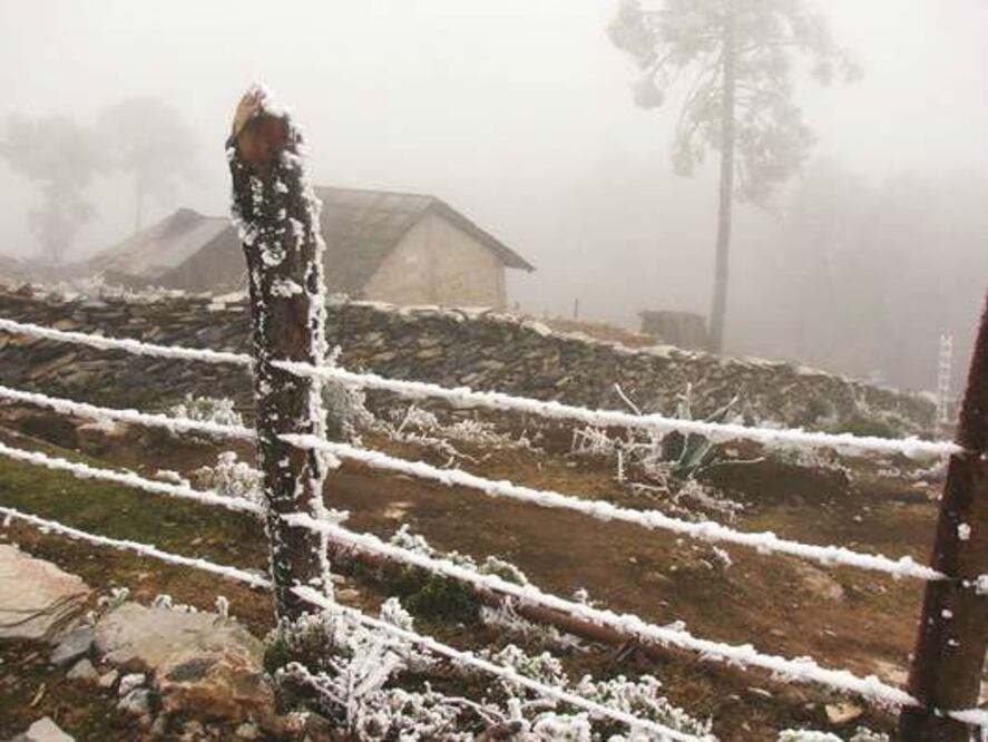 San Joaquín se pinta de blanco con heladas