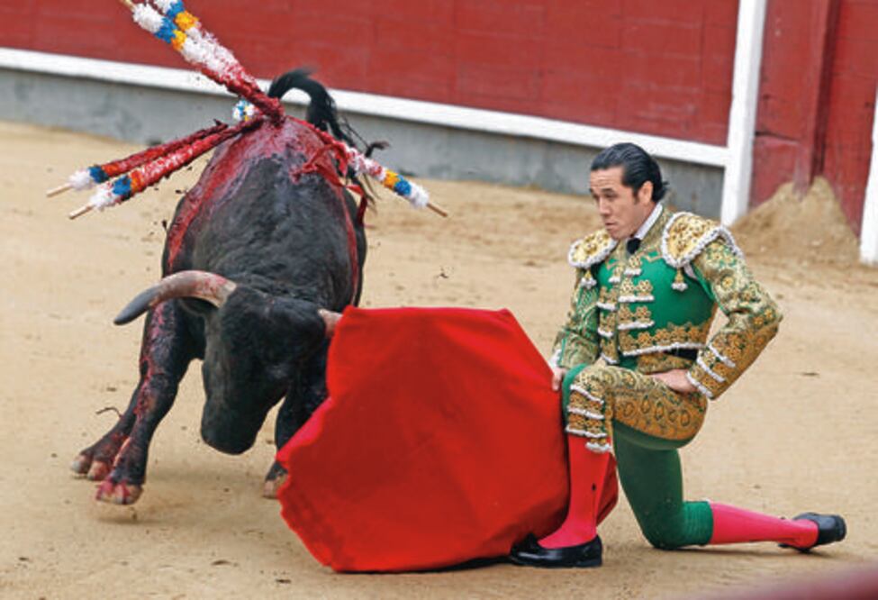 Cancelan corrida en Feria Ganadera