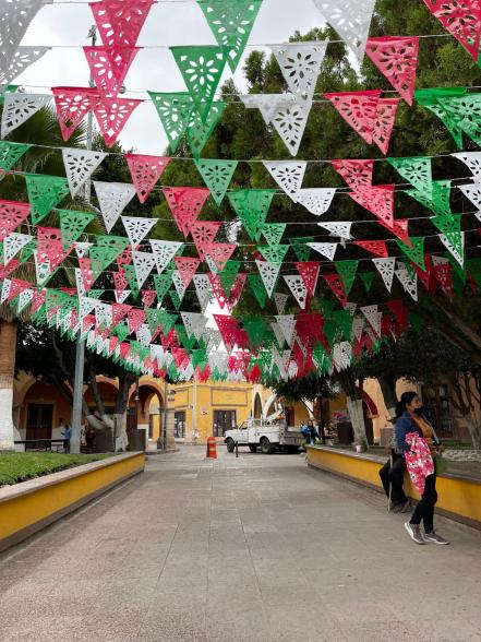 Tolimán tampoco se quedó atrás y se pintó de colores patrios 