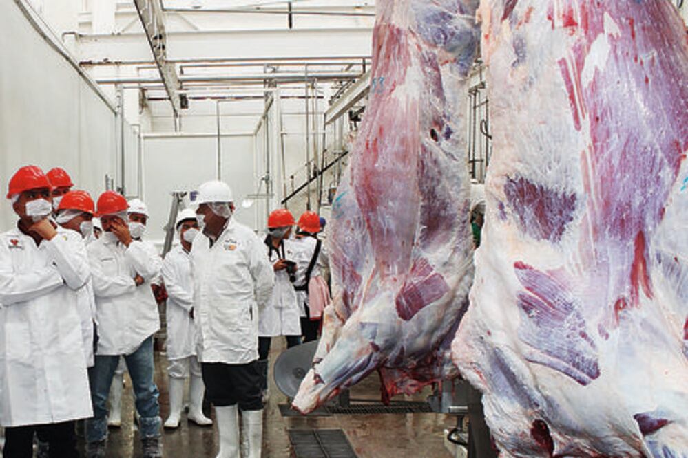 Invertirán 28 mdp en rastro municipal