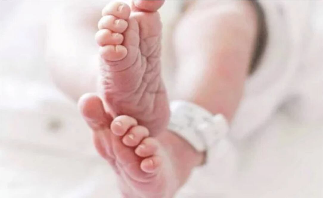 Foto: Archivo, El Universal