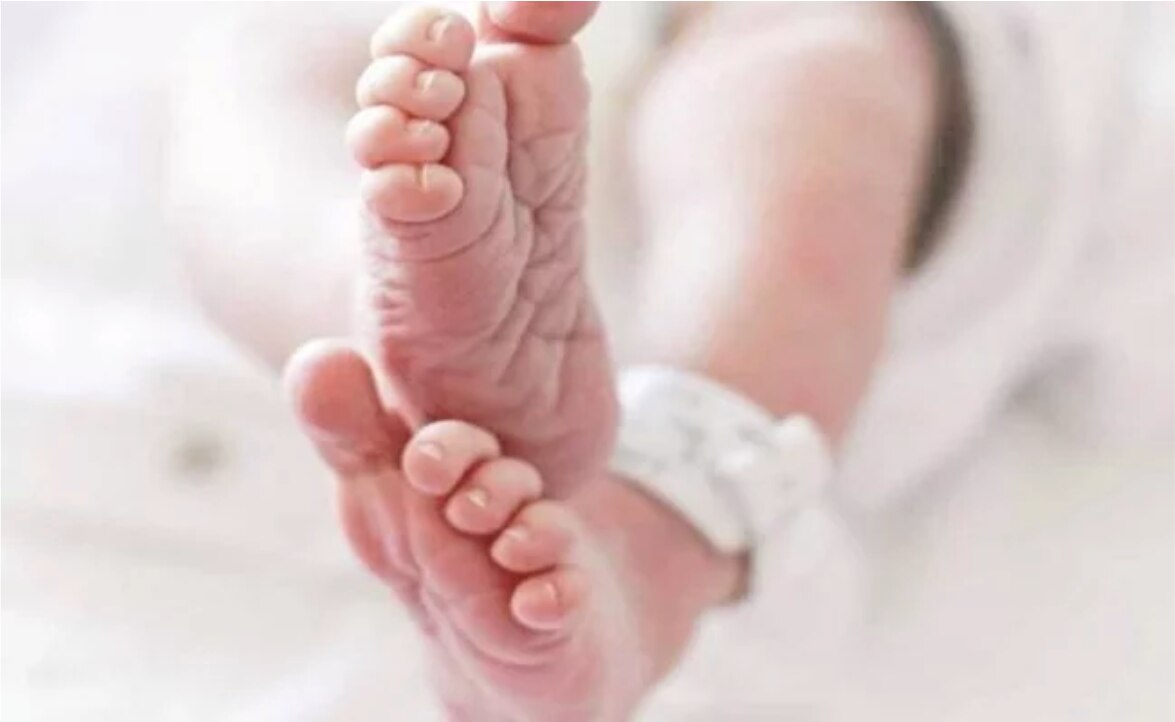 Hallan cuerpos de dos bebés en centro de reciclaje de Nueva Jersey