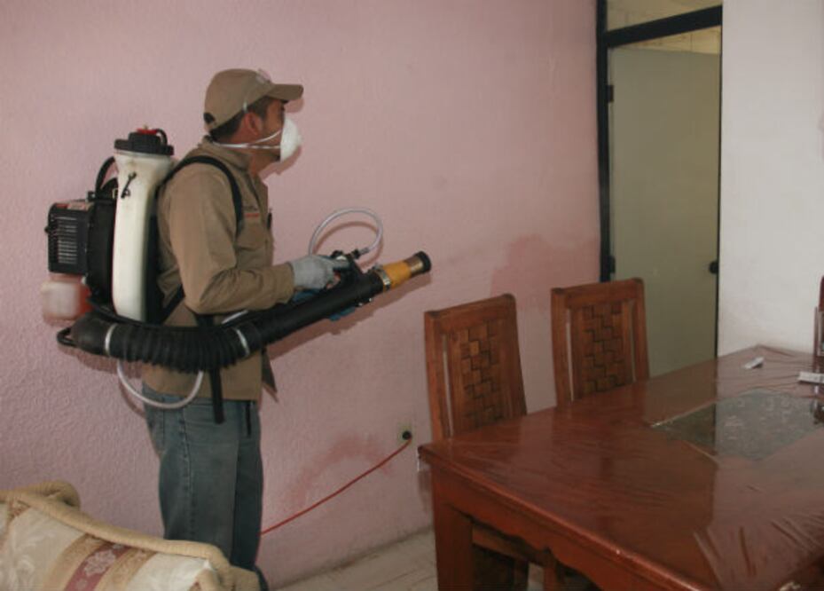 Confirman 5 casos de Dengue en Querétaro.