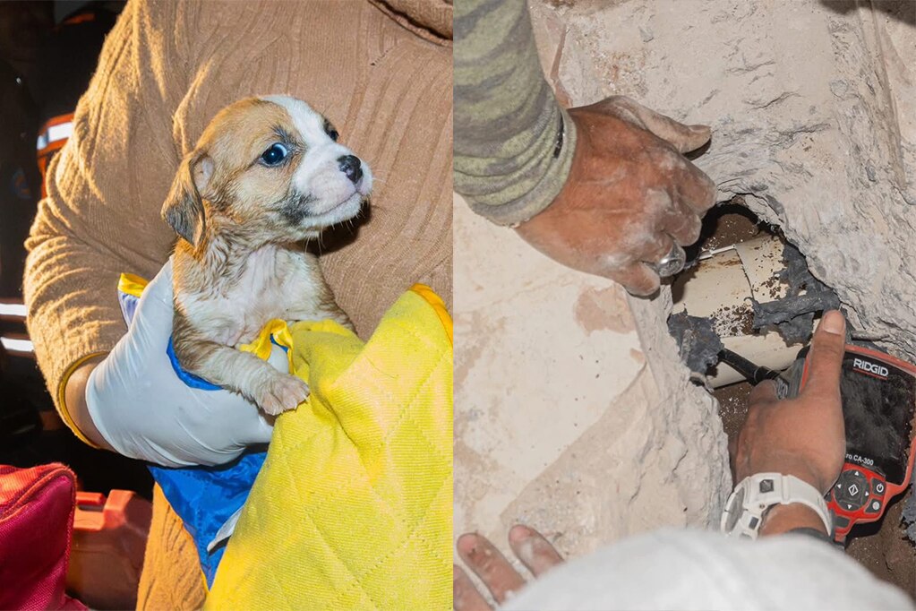 Tras siete horas de labores, rescatan a perrita atrapada en un desagüe en El Marqués 