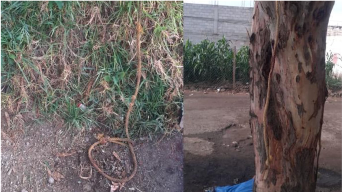 Vecinos cuelgan a hombre de un árbol y lo matan por ser presunto delincuente en Edomex