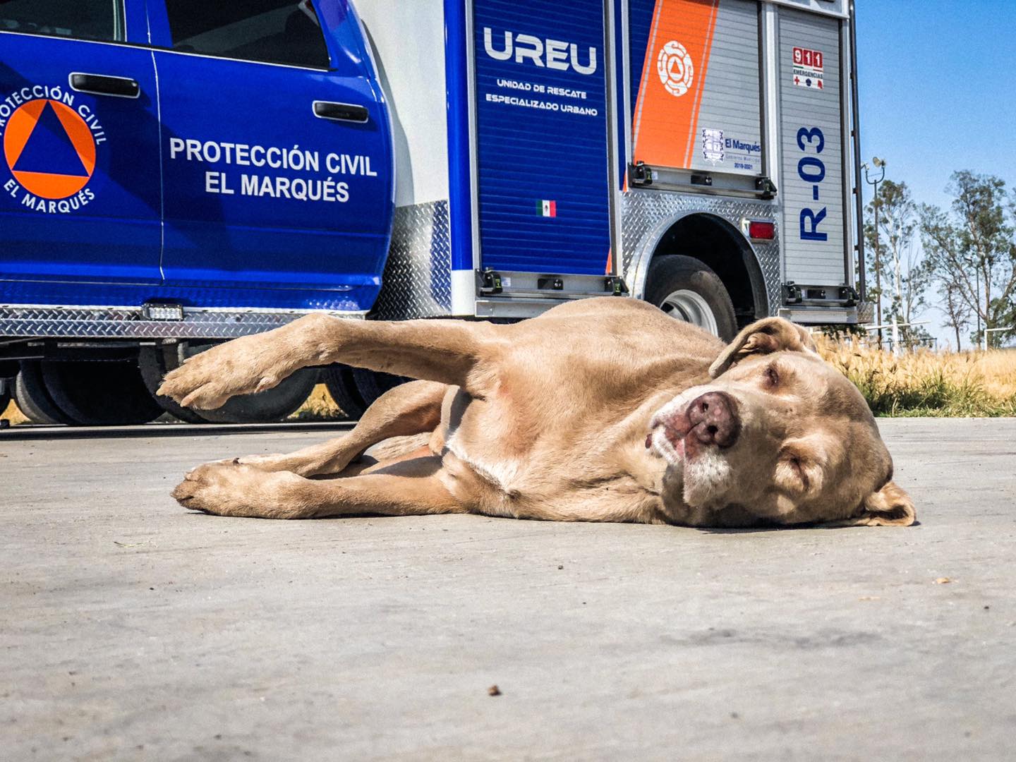 Foto. Facebook Protección Civil El Marqués