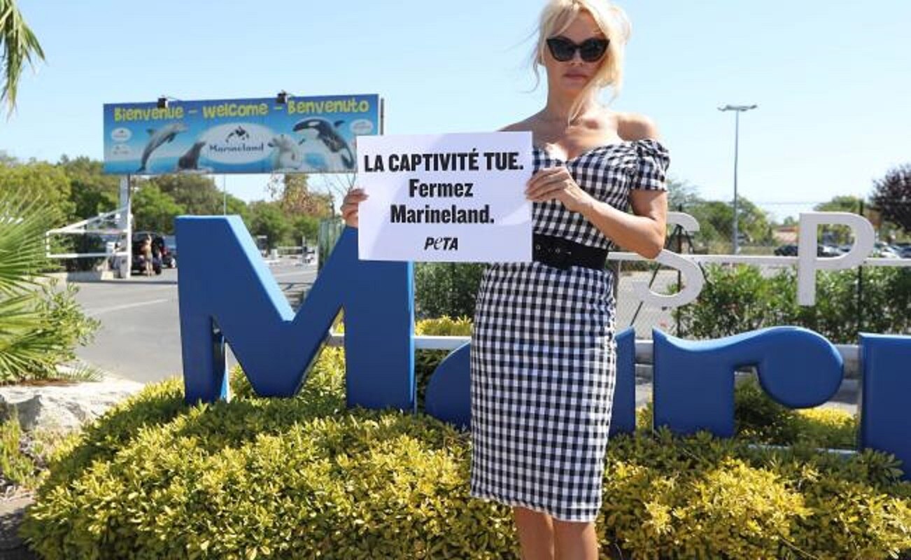 Pamela Anderson protesta en Francia contra cautiverio de animales