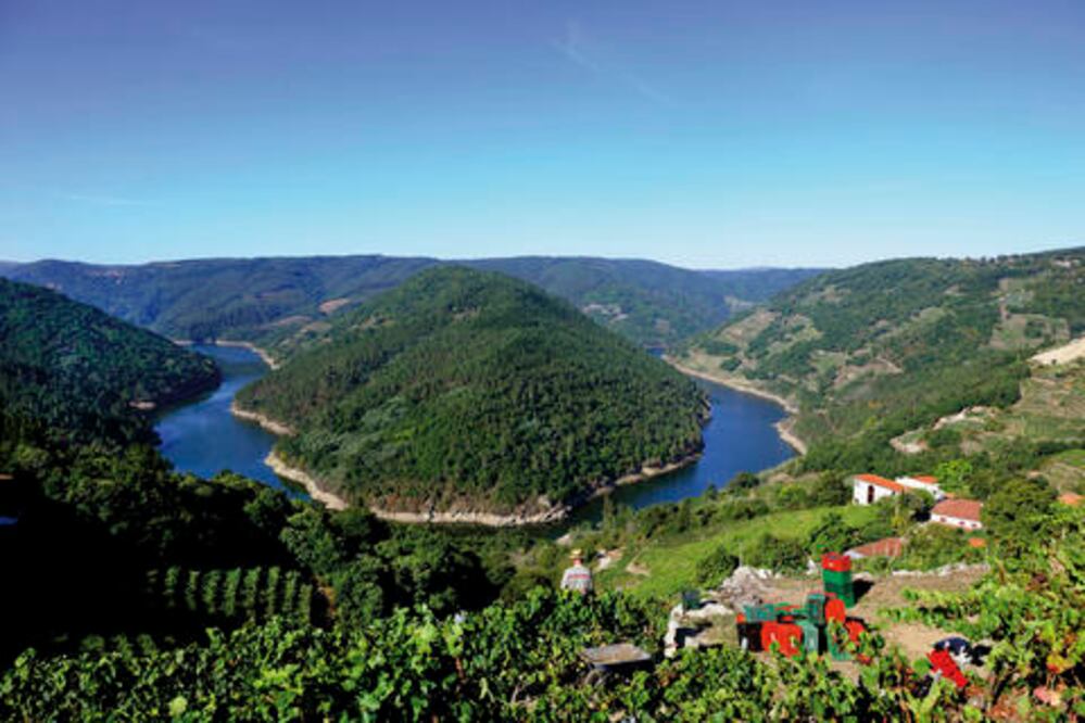 Calidad del vino gallego