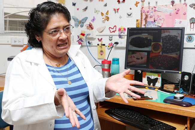 Gabriela Jiménez Casas, investigadora del Instituto de Ecología de la UNAM. (ARIEL OJEDA. EL UNIVERSAL)