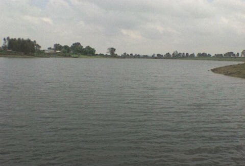 16 presas llenas en el estado