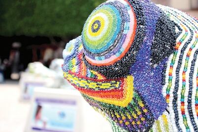 Ranas invaden las calles 