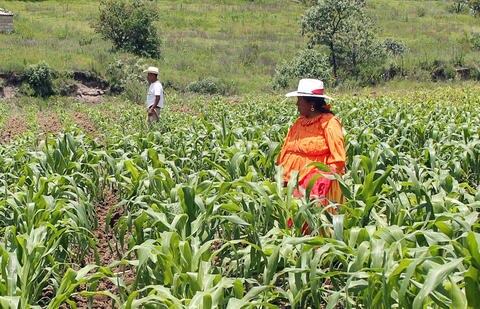 Sufren Amealco y Escobedo por recortes
