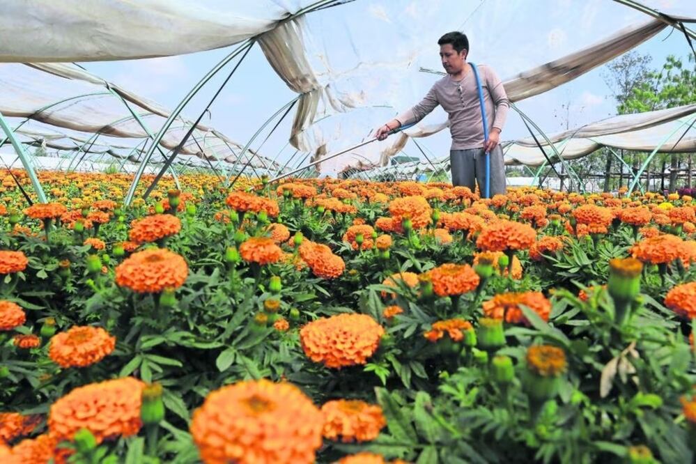 Foto_ Archivo | El Universal