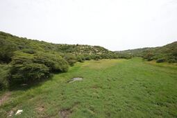 Querétaro donará 12 hectáreas más para conservación ambiental