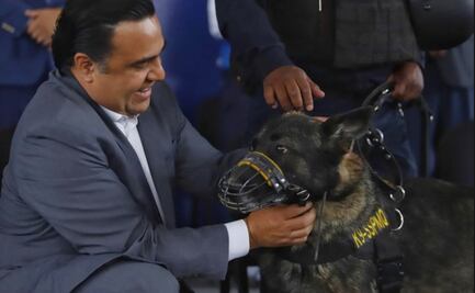 Video. Jubilan a Raiden y Payler; trabajaron por la seguridad de Querétaro