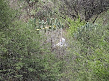 Hallan a un hombre muerto