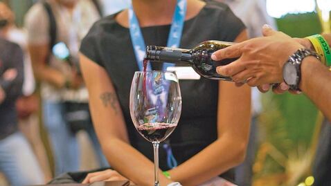 Querétaro busca replicar cómo se producen vinos en España