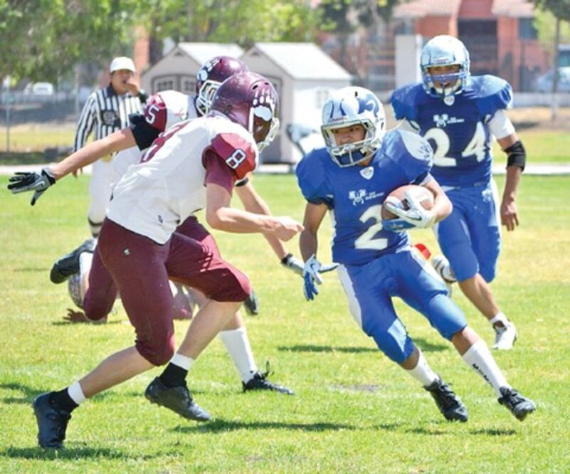 Borregos queretanos juegan en Tampico