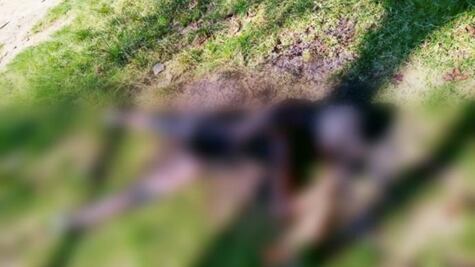 Avientan cuerpo carbonizado de joven desaparecida, en Edomex