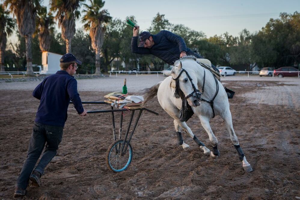 El rejoneador español Andy Cartagena se encuentra en México desde septiembre y escogió Querétaro para establecerse con sus caballos y practicar.