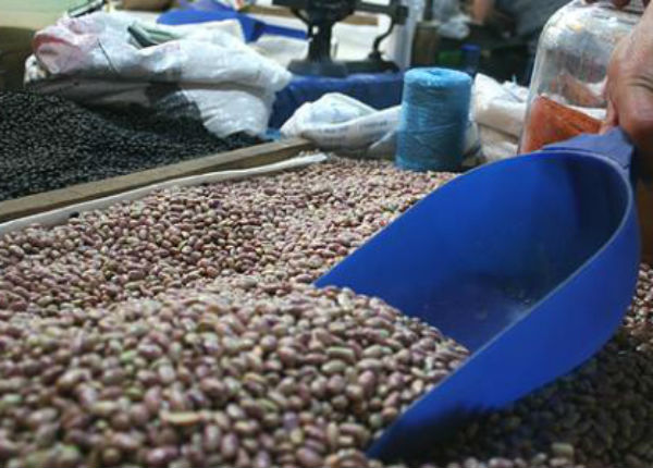 Bajan los precios de las semillas