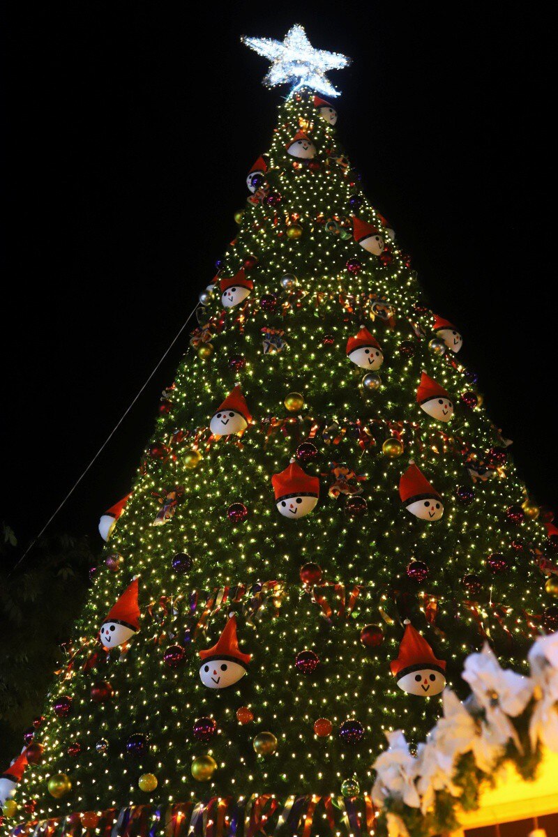 Árbol navideño de Amealco de Bonfil. Foto: Municipio de Amealco.