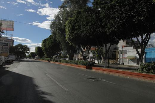 Saldo blanco en Nochebuena