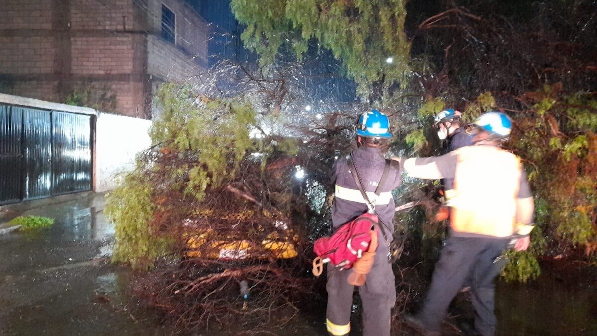 Cae árbol sobre un taxi, tras jornada de lluvia en Querétaro