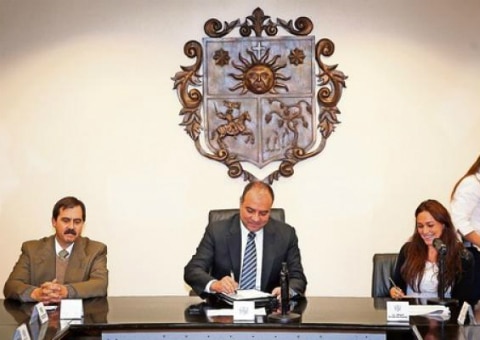 Grandes proyectos para el 2014:RLV