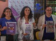 Exhibirán a los deudores alimentarios en el centro de Querétaro