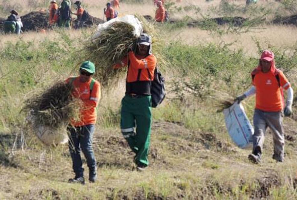 Mantienen limpia la ciudad “ejército”
