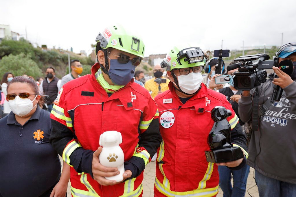 Este martes, será el juicio por asesinato de Athos y Tango, los perritos rescatistas que murieron envenenados