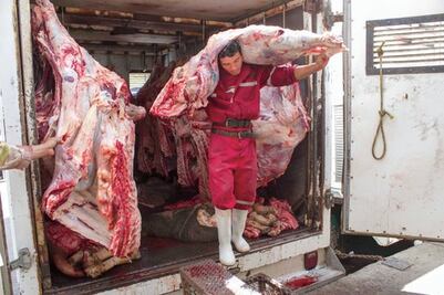 Confirman clausura de área de bovinos en rastro de SJR