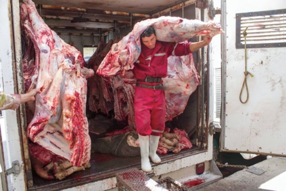 Confirman clausura de área de bovinos en rastro de SJR