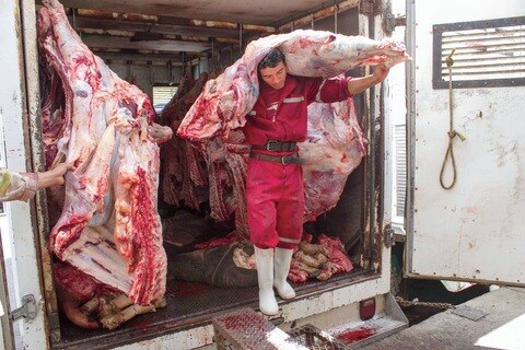 Confirman clausura de área de bovinos en rastro de SJR