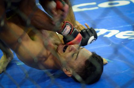¡Dale más! Una mirada a las Artes Marciales Mixtas