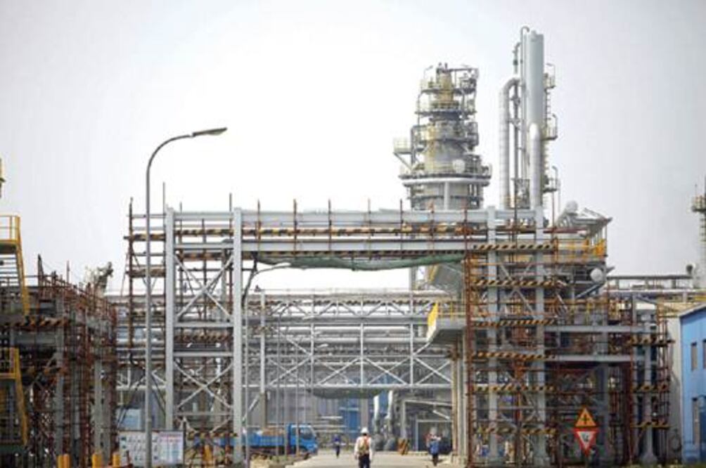 Buscan mayor especialización