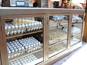 Huevo sube por gripe aviar: SE